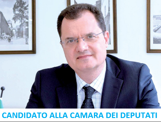 Fabio Porta Deputado